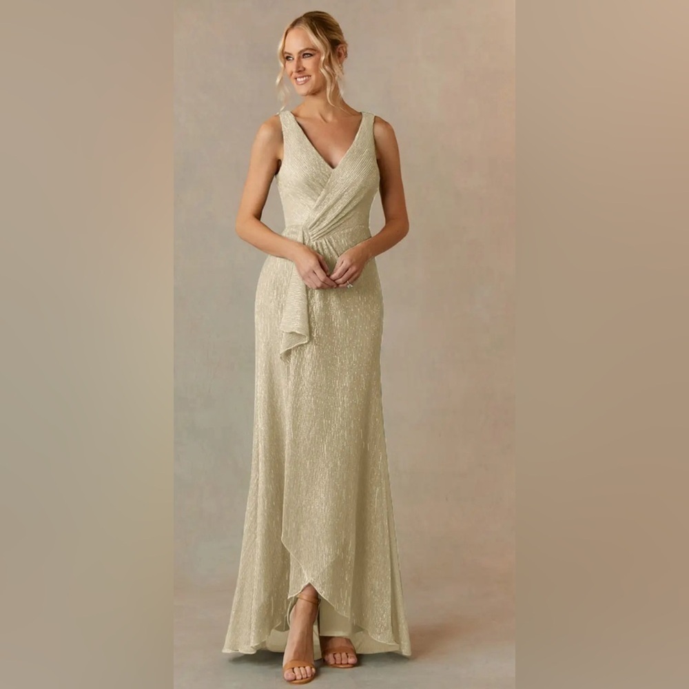 NWT- UPSTUDIO TUSCON Champagne A-Line VNeck Ruched Metallic Mesh Dress SIZE- A18 - Picture 2 of 14